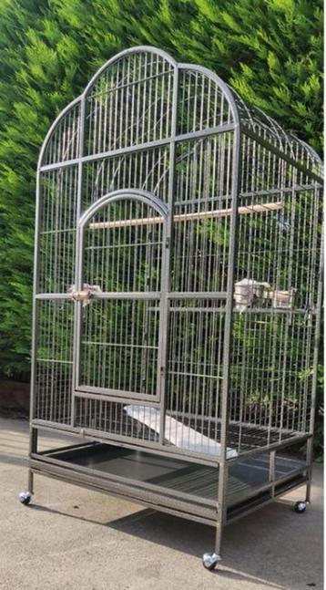 papegaaienkooi HYACINT  -  260 beschikbaar voor biedingen