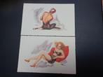 Postkaarten jaren 50/60, Ophalen of Verzenden, Zo goed als nieuw, 1940 tot 1960, Prent