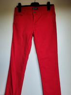 DAMESBROEK MAAT 40, Kleding | Dames, Ophalen of Verzenden, Zo goed als nieuw, Lang, Rood