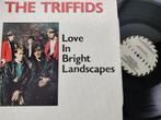 the triffids (love in bright landscapes, 86, holland, perf s, Enlèvement ou Envoi