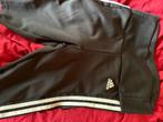 Short adidas, Nieuw, Fitness of Aerobics, Maat 36 (S), Zwart