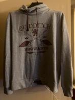 Superzachte Harry Potter hoodie mt L, Kleding | Dames, Truien en Vesten, Nieuw, Harry Potter, Grijs, Maat 42/44 (L)