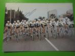 wielerkaart 1982 team peugeot  jose de cauwer  - kuiper, Verzenden, Zo goed als nieuw