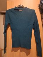 Blauw truitje, Kleding | Dames, Truien en Vesten, Terra di Siena, Ophalen of Verzenden, Zo goed als nieuw, Blauw