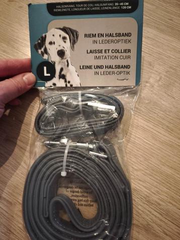 Riem en halsband hond beschikbaar voor biedingen