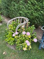 Tuin planten, Tuin en Terras, Planten | Tuinplanten, Ophalen, Vaste plant, Halfschaduw, Zomer