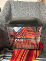 Aquarium met toebehoren, Enlèvement, Comme neuf, Aquarium vide