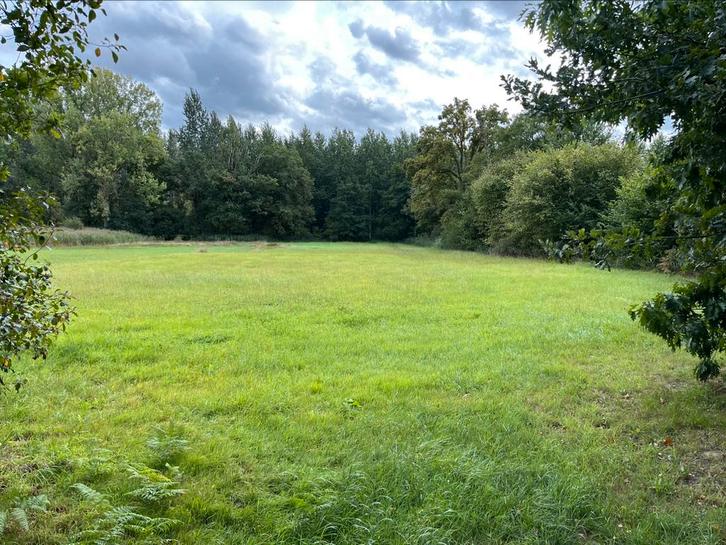 3500m2 weide voor vee paard fruit of landbouw, Immo, Gronden en Bouwgronden, 1500 m² of meer, Verkoop zonder makelaar