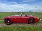 Austin Healey 100/4 1954, Cabriolet, Handgeschakeld, 2 deurs, Te koop