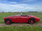 Austin Healey 100/4 1954, Auto's, Austin, Cabriolet, Handgeschakeld, 2 deurs, Te koop