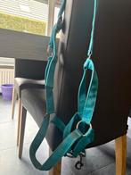 Halsters, Dieren en Toebehoren, Paarden