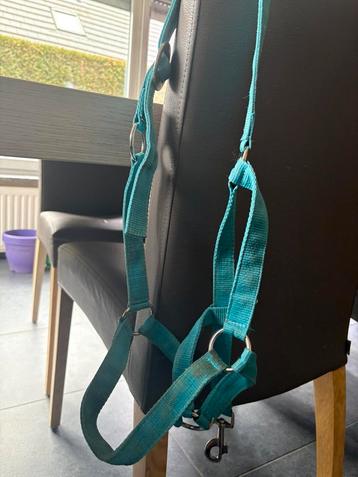 Halsters beschikbaar voor biedingen