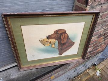 Gravure chien de chasse signe riab beschikbaar voor biedingen