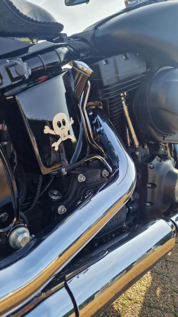 HARLEY DAVIDSON FLSTB CROSSBONES CUSTOM, Motoren, Motoren | Harley-Davidson, Particulier, Chopper, meer dan 35 kW, 2 cilinders