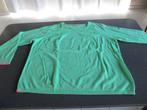 groene dames pull, Vêtements | Femmes, Pulls & Gilets, Taille 46/48 (XL) ou plus grande, Comme neuf, Cecil, Vert