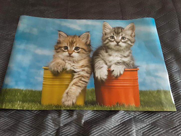 poster 91,5x61,5 cm dieren, Verzamelen, Posters, Nieuw, Ophalen of Verzenden