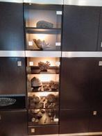 Schelpen, koralen en fossielen zeer mooie collectie, Schelp(en), Ophalen