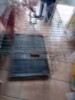 Bench voor hond, Dieren en Toebehoren, Hondenhokken, Ophalen