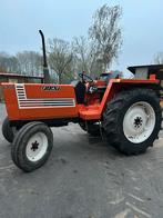 Fiat 680, Zakelijke goederen, Landbouw | Tractoren, Ophalen, Gebruikt, Tot 80 Pk, Fiat