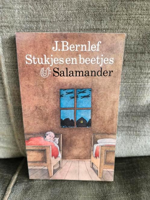 Stukjes en beetjes.    (J. Bernlef), Boeken, Literatuur, Zo goed als nieuw, Ophalen of Verzenden