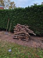 Brandhout van notelaar, Tuin en Terras, Brandhout, Ophalen