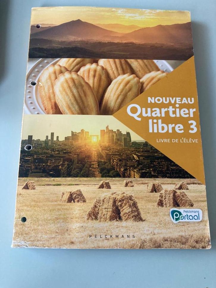 Leerwerkboek Nouveau Quartier Libre (3e Frans – doorstroom), Boeken, Schoolboeken, Zo goed als nieuw, Frans, Ophalen of Verzenden