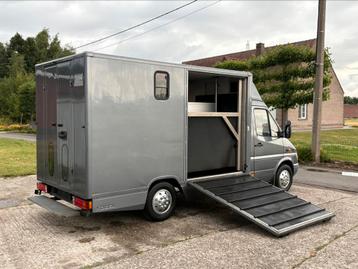 🐴Mercedes 311CDI Automaat Paardencamionette GEKEURD beschikbaar voor biedingen