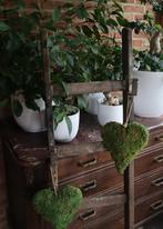 HOUTEN LADDERS / 10 EU PER STUK, Enlèvement, Utilisé, Échelle, Moins de 2 mètres