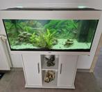 Aquarium Juwel Rio 180L avec meuble et Accessoires, Animaux & Accessoires, Enlèvement, Comme neuf