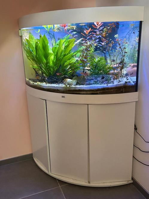 JUWEL TRIGON 190, Dieren en Toebehoren, Vissen | Aquaria en Toebehoren, Gebruikt, Leeg aquarium, Ophalen