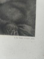 Gravure La Femme à la Pallisse, Antiek en Kunst, Ophalen of Verzenden