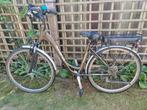 Elektrische fiets Minerva Voyager comfort, Fietsen en Brommers, Ophalen, Gebruikt