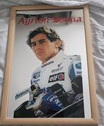 Ayrton Senna spiegellijst, Ophalen, Zo goed als nieuw