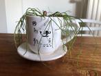 Décoration d’intérieur pot design Tasse a café avec plante :, Utilisé, Enlèvement ou Envoi, Intérieur