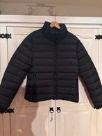 Winterjas Superdry, Ophalen, Zo goed als nieuw, Zwart