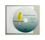 Russische kanarie, Meerdere dieren, Zangkanarie