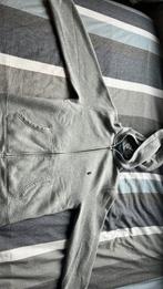 Polo ralph lauren vest maat 10-12, Kinderen en Baby's, Ophalen, Zo goed als nieuw, Polo Ralph Lauren, Jongen of Meisje