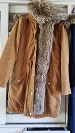 Chu) Katoenen verstopperjas, T40 zie maat., Kleding | Dames, Bruin, Nieuw, Cache-Cache, Ophalen