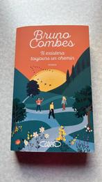 Bruno Combes - Il existera toujours un chemin, Ophalen, Gelezen