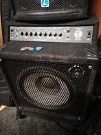 SWR workingman's 15 
Voor elektrische basgitaar en contrabas, Muziek en Instrumenten, Ophalen, Basgitaar