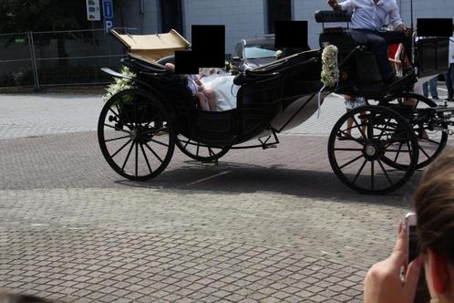 Paarden Koets, Diversen, Overige Diversen, Zo goed als nieuw, Ophalen