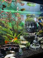 Aquarium met toebehoren en vissen, Ophalen, Zo goed als nieuw