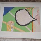 Roger Raveel, Ophalen of Verzenden