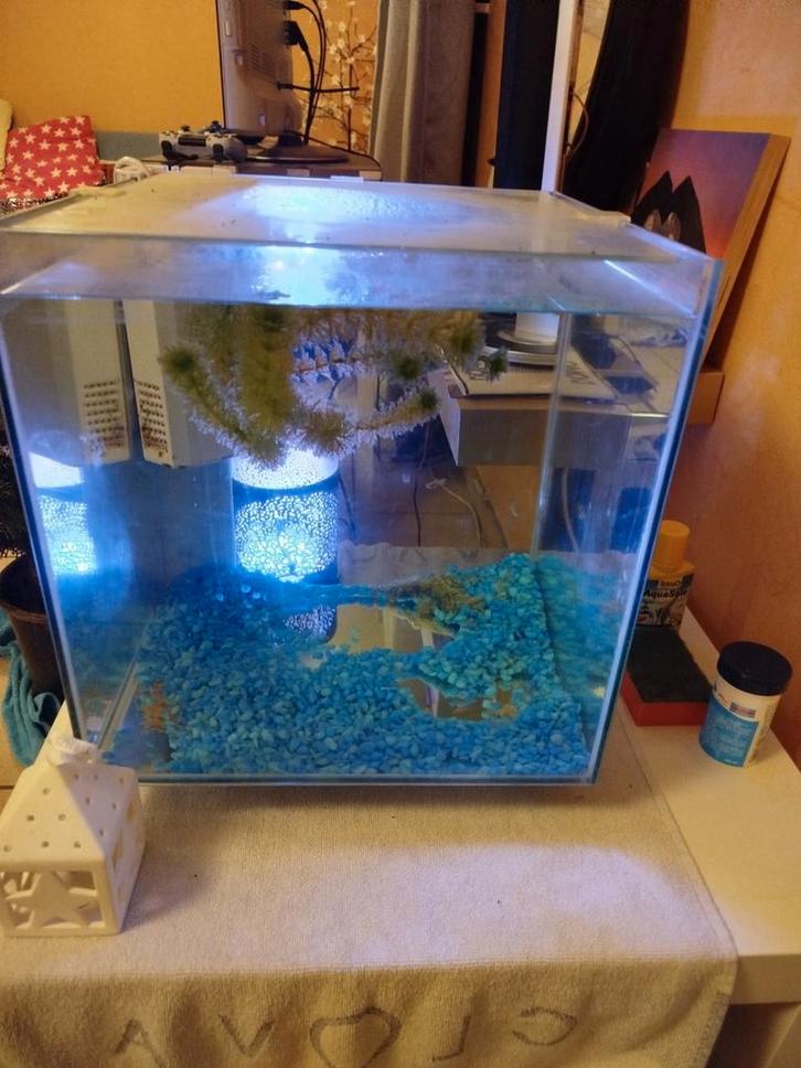 Hierbij verkoop ik deze Aquarium, Dieren en Toebehoren, Vissen | Aquaria en Toebehoren, Ophalen