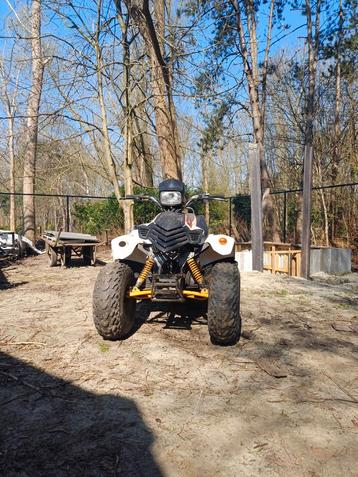 Aeon cobra 2 quad beschikbaar voor biedingen