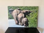 Print olifanten (foto zelf genomen), Maison & Meubles, Accessoires pour la Maison | Peintures, Dessins & Photos, Comme neuf, Enlèvement