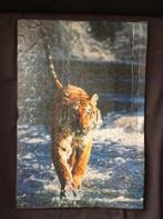 Poster / Puzzel Tijger, Verzamelen, Dierenverzamelingen, Ophalen of Verzenden, Gebruikt, Wild dier, Overige typen