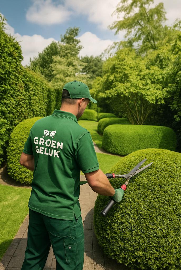 Tuinier beschikbaar in regio Antwerpen, Tuin en Terras, Overige Tuin en Terras, Ophalen of Verzenden