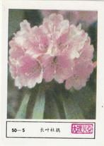 lucifermerk luciferetiket #195 bloemen (50-5), Collections, Articles de fumeurs, Briquets & Boîtes d'allumettes, Boîtes ou marques d'allumettes