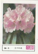 lucifermerk luciferetiket #195 bloemen (50-5), Boîtes ou marques d'allumettes, Envoi, Neuf